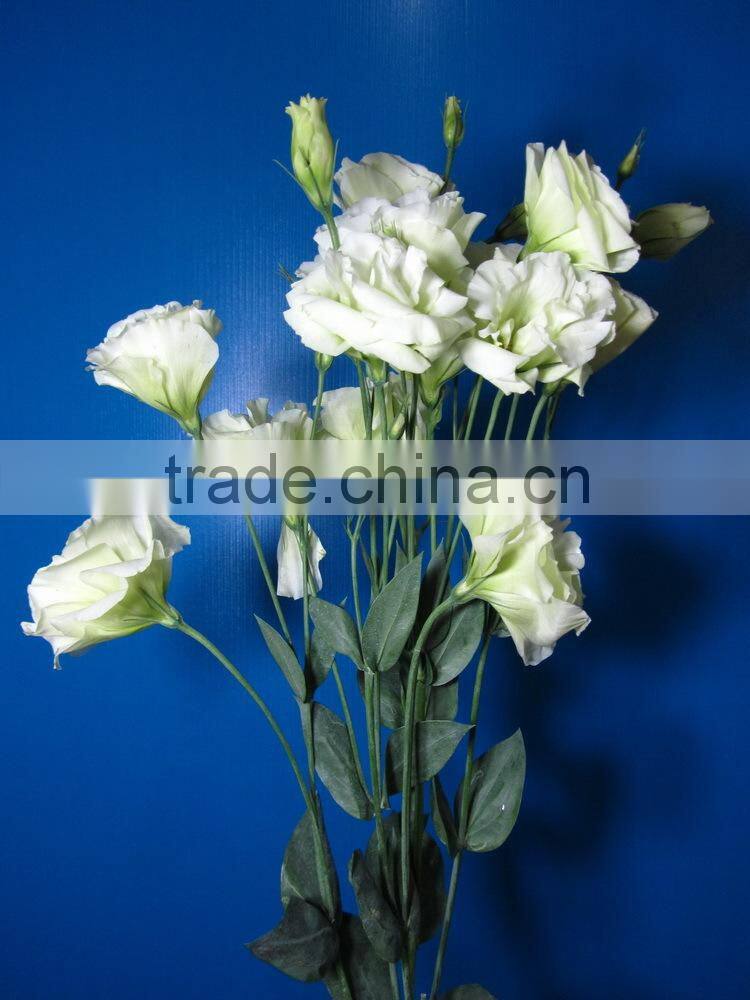 Alibaba china factory direct lisianthus flower
