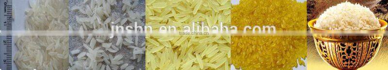 Professional thin and long Automatic Artificial Rice extruder Machine