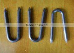 2"U staple