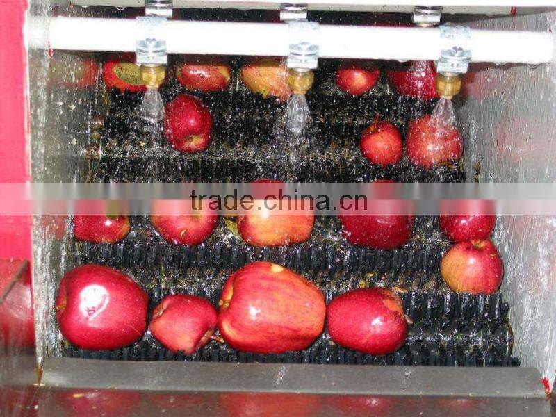 5 TONS Carrot brush washing machine