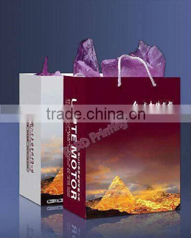 Gift bags with die-cut handle