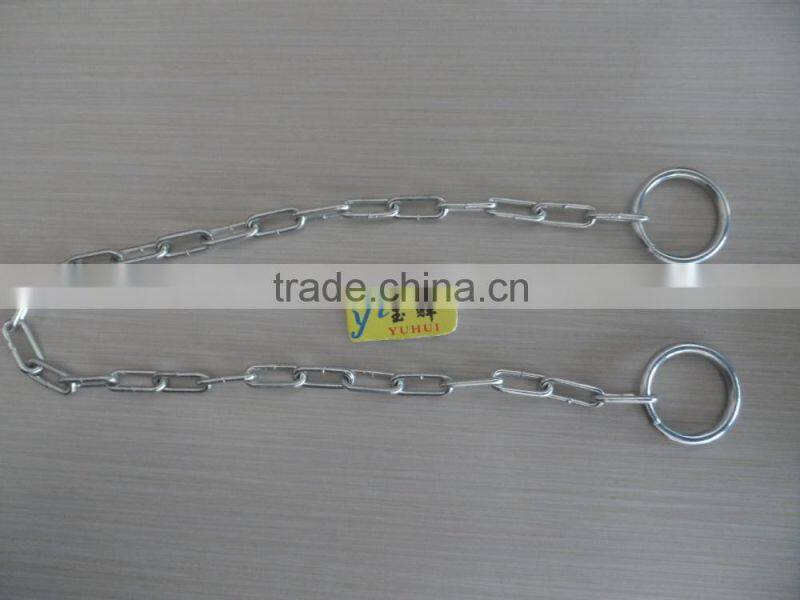 cow chain(factory),hot selling