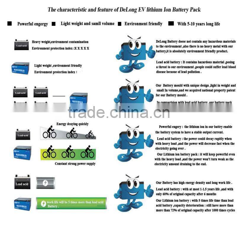 24v 10ah smart e-bike li-ion battery built in BMS