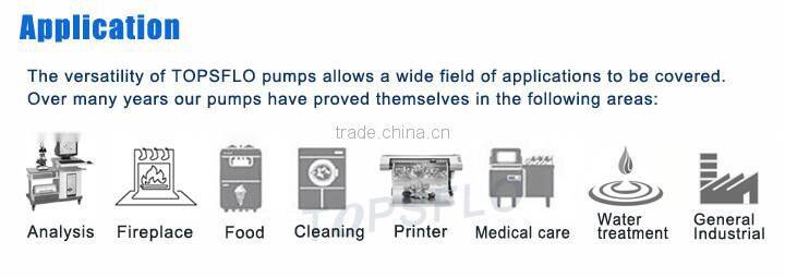 DC Brushless Diaphragm 6v 12v 24v pump for corridor assembly room Aroma Diffusion System