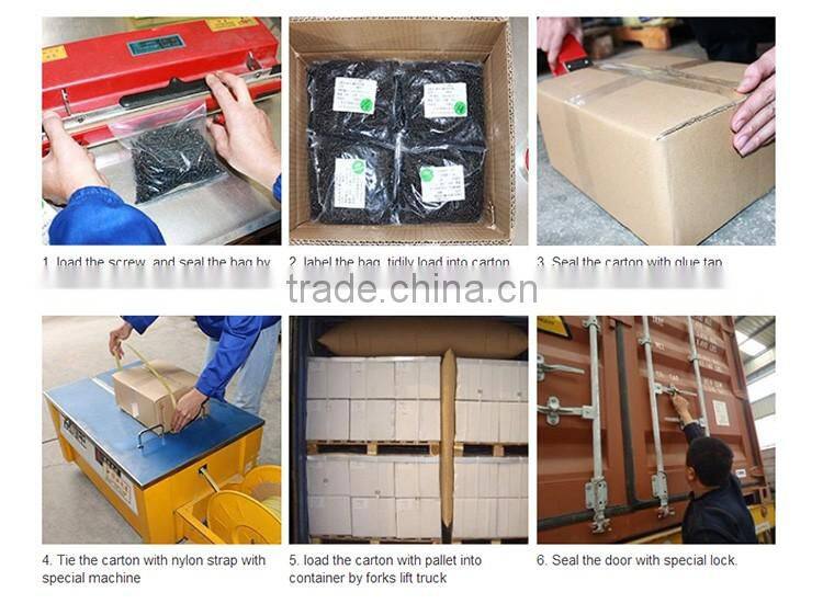 High Quality pan Head Self-tapping Screw