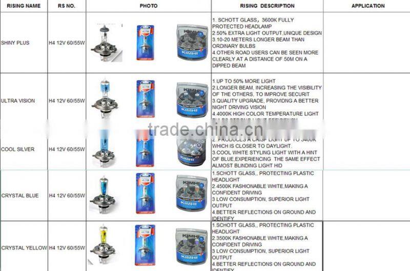 SHINY PLUS COOL SILVER