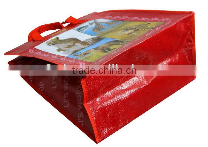 pp zipper shopping bag with nylon tape handle(2W-2062)