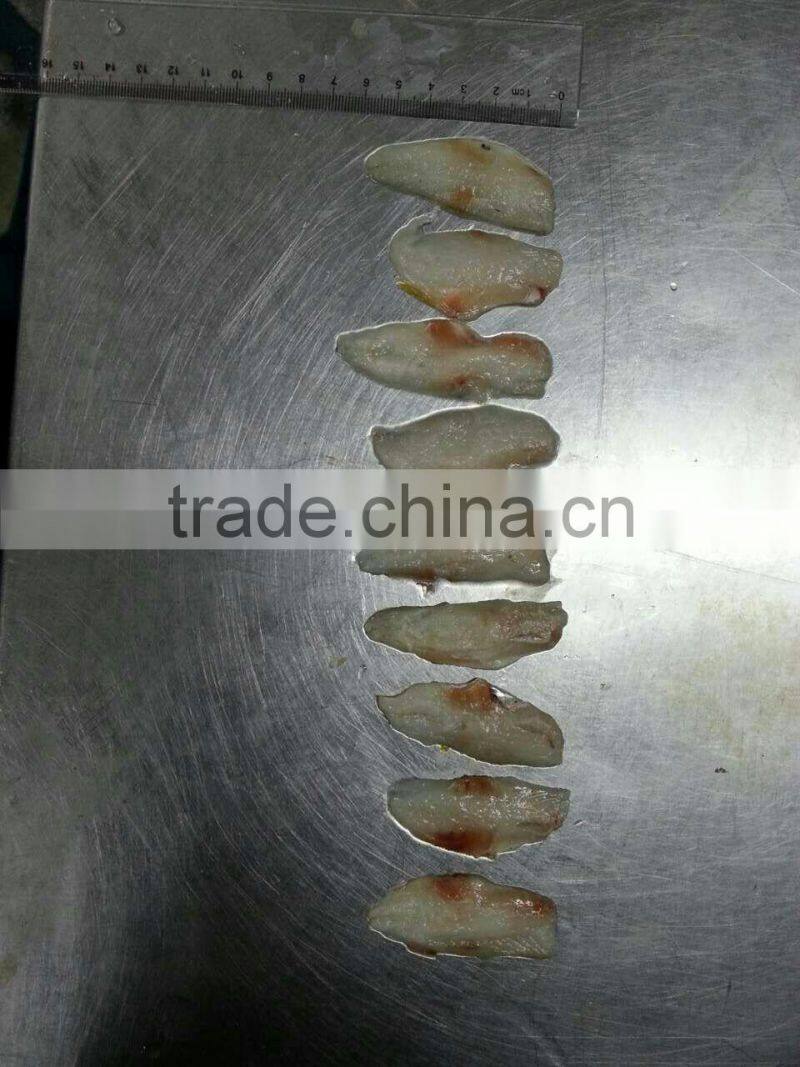 frozen leather jacket fish