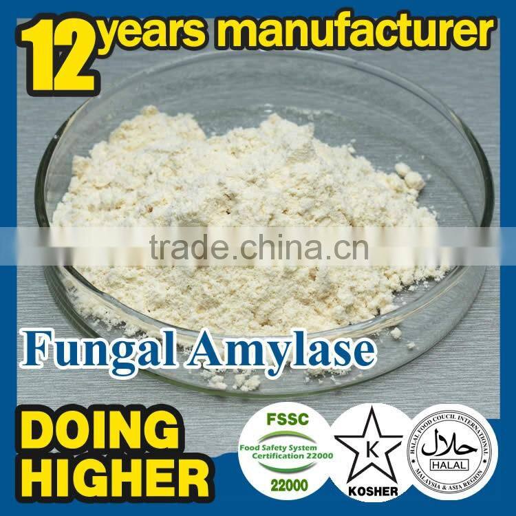 2016 High quality food ingredients food additive Fungal Amylase