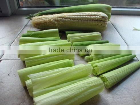 Multifunctional Spiral Screw Corn Leaves Juice Making Machine