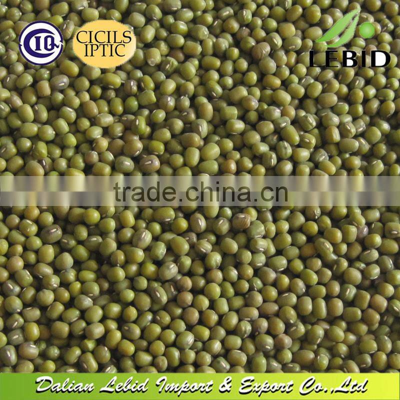 Dried Style Organic Green Mung Bean
