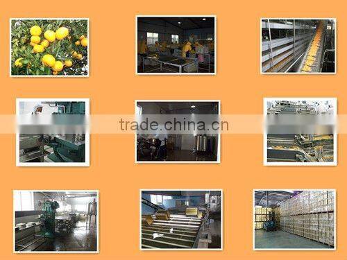 mandarin orange sac for juice