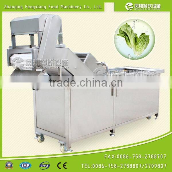 Domestic Horizontal Crown Low Voltage Vegetable Washing Machine