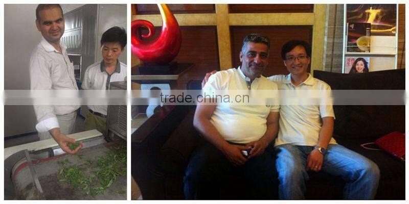 Seaweed Processing Machine/Seaweed Sterilizer/Microwave Drying Machine