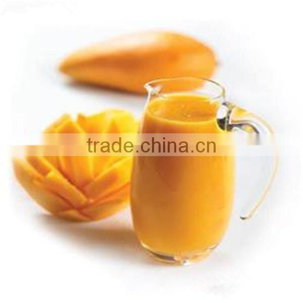 mango hollander beater/fruit beater/automatic fruit vegetable beater