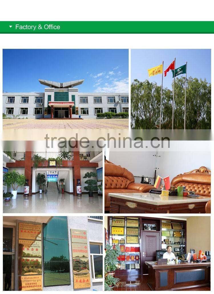 common style pumpkin kernels shine skin