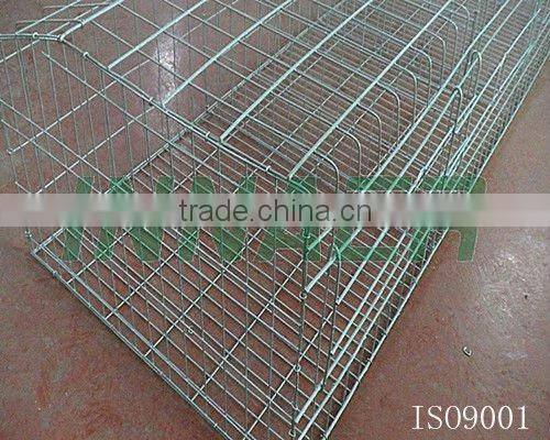 Supply Innaer Broiler Chicken Farm House(ISO9001) for Poultry Farming