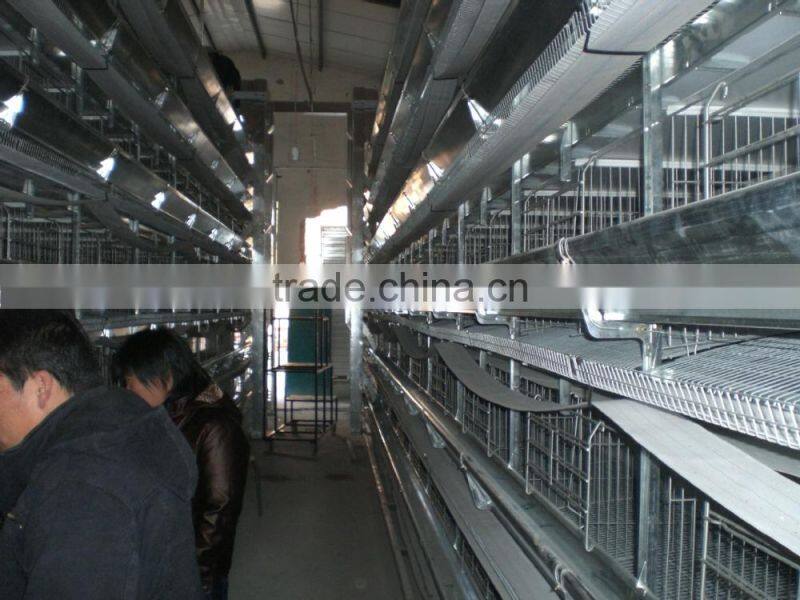 chicken cage for poultry farm for nigeria with best price