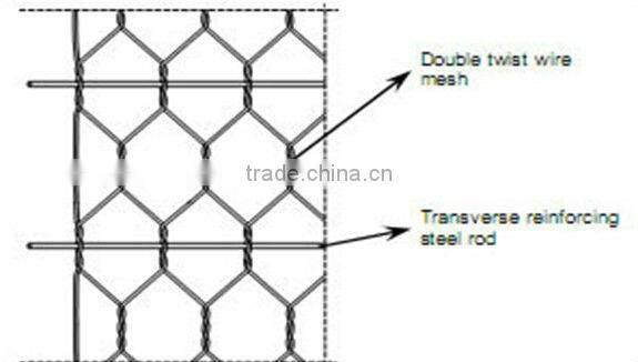 chicken netting (Factoryof Guangzhou)