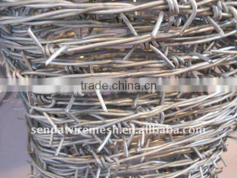 galvanized barb wire