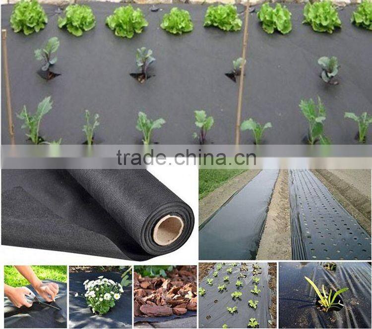 Ali Golden Trade Agriculture Nonwoven Rayson Waterproof Ground Cover