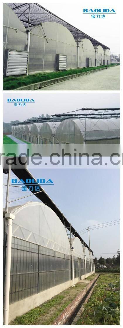 baolida multi-span greenhouse PE film green house used greenhouse for tomato