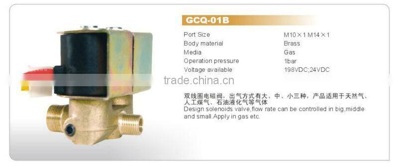 Double Solenoids Gas Controlled Valve for Gas Heater