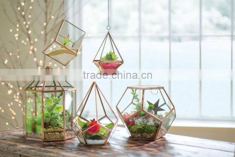 Succulent polygon Hanging Prism Terrarium