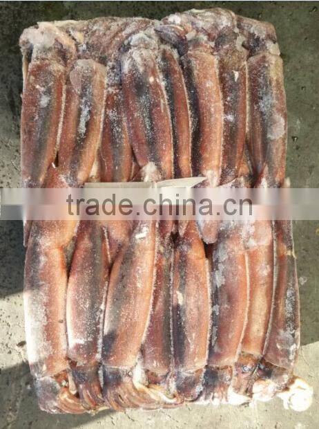 Frozen Illex Argentinus Squid