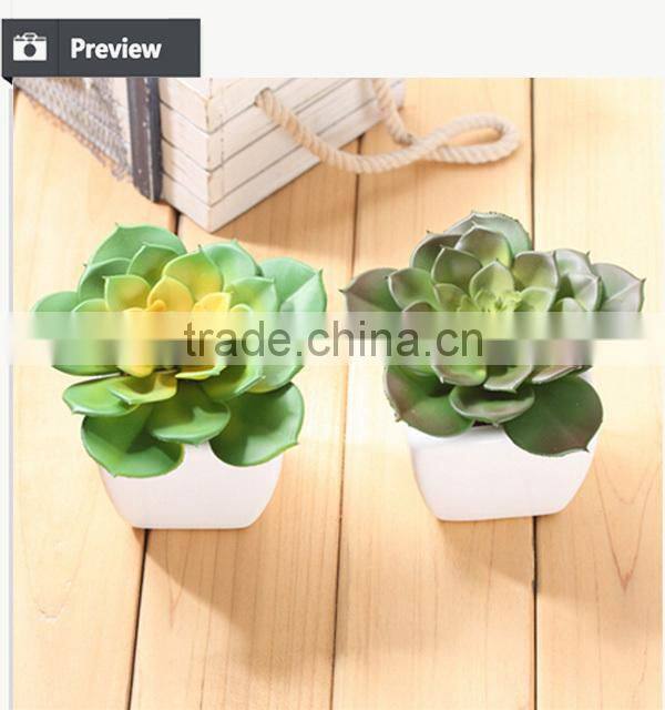Cheap artificial succulents plants plastic plants