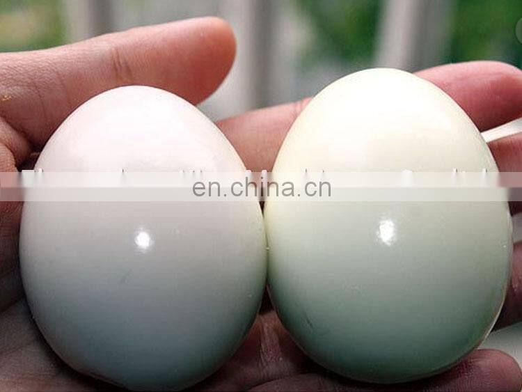 hard boiled egg peeler , egg peeling machine