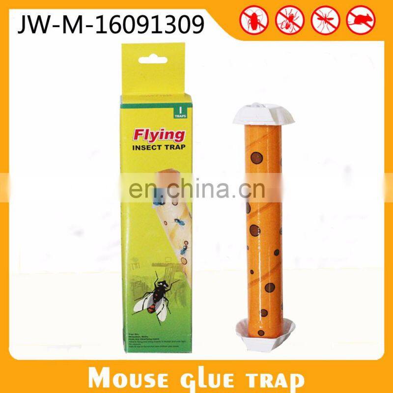 Insecticides For Public Health Sticky Fly Paper Fruit Fly Glue Board