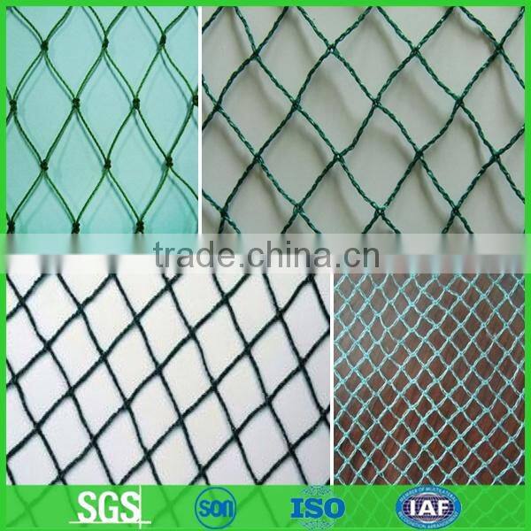 Hot selling agricultural bird netting