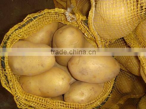 Potato Type and Common Cultivation Type Fresh Potatoes
