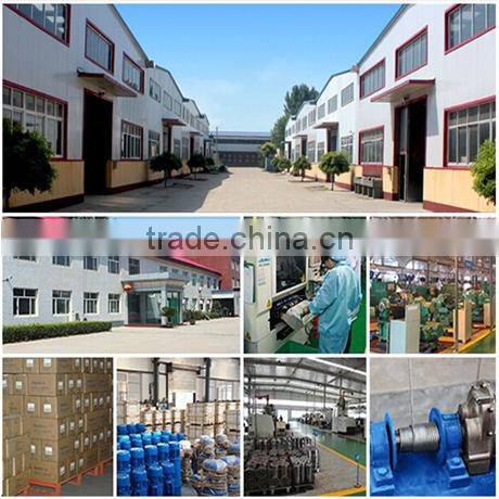 Good quality best price 10 ton DHP type electric chain block