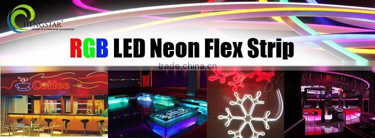 5M 300LEDs 24V 12V LED Neon Flex Digital Programmable RGB Neon LED Strip