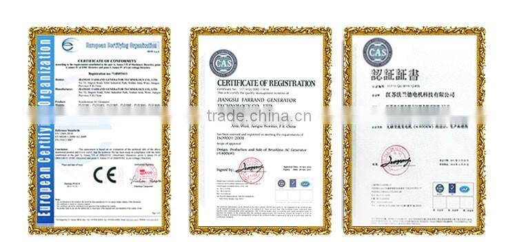 High Quality Low Speed Dynamo Alternator Watt