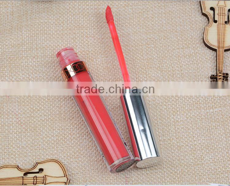 Waterproof matte korean new style branded makeup promotional lip gloss