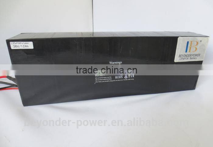 RoHS/CE /UL best safe lithium ion high capacity lithium polymer battery ebike battery pack with charger and internal BMS