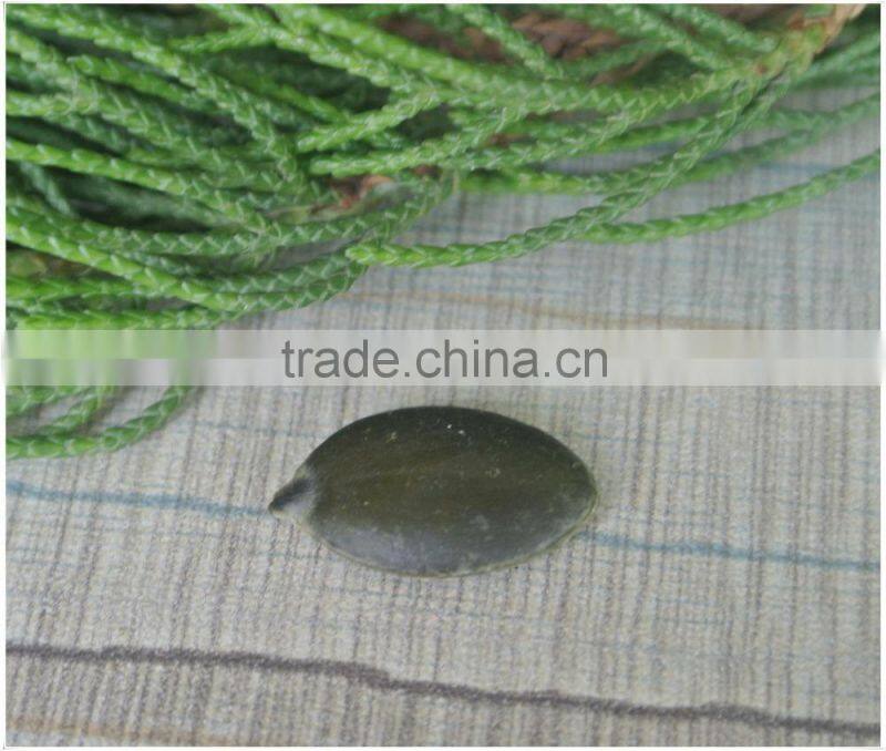 Export Green Pumpkin Seeds Grown without Shell GWS Supplier