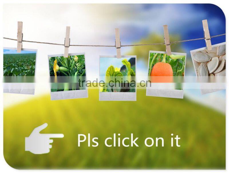 Benefit of Shine Skin Pumpkin Seeds