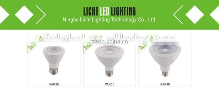 38 DEGREE LED PAR20 PAR30 PAR38 LED SPOTLIGHT