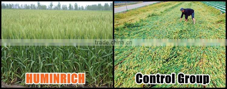 Huminrich 25kg nhom la mong toi Phan mau xanh la cay dinh duong goc oxit kali phan bon