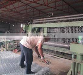 galvanized hexagonal gabion wire mesh/gabion protective mesh/gabion mesh roll
