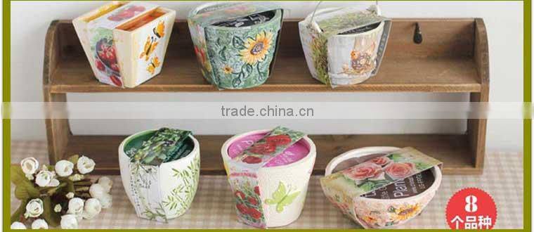 Specialized boxes for gifts DIY mini bonsai promotional gifts for teenagers , corporate anniversary gifts