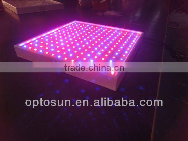 Latest!! shenzhen led grow light 28W, the best led grow lights for money tree or herbs growing and got the biggest yield