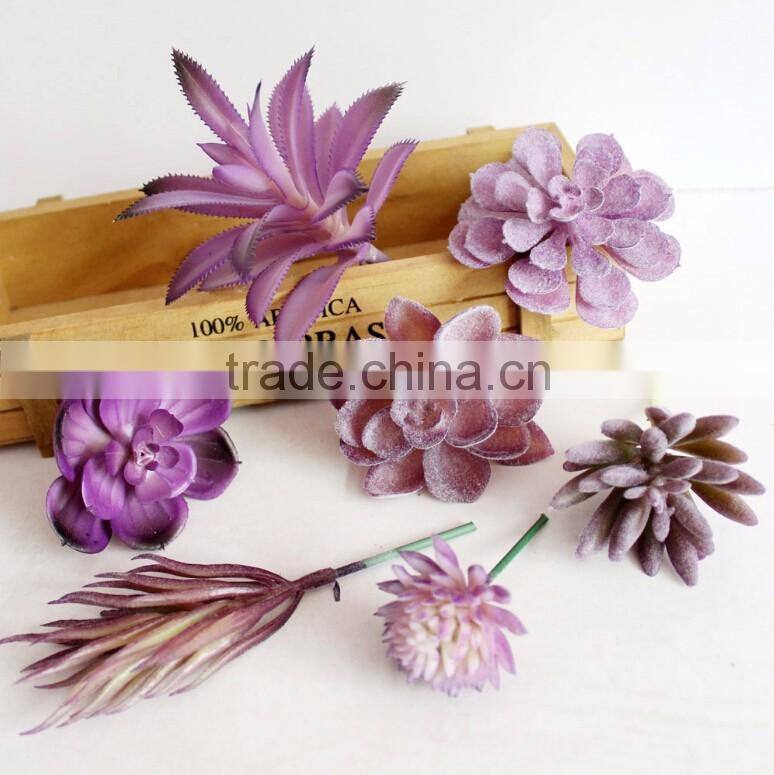 Wholesale Artificial Succulent Plants Mini Succulent Plants Succulent Plants Tropical Plants