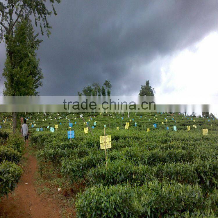 lamp for mosquito killer,mosquito repellent,mosquito repeller