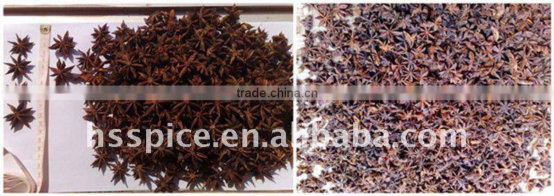 dry star aniseeds (ganzhi)