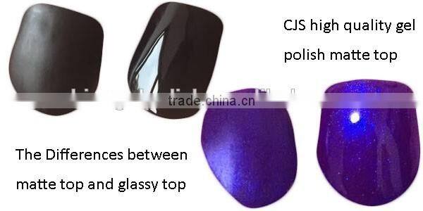 New fashion uv gel polish fashionable uv gel polish gel animals sex